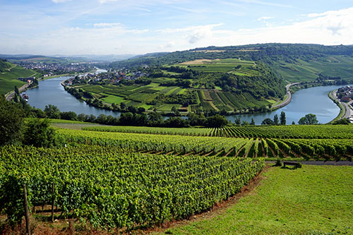 Gaasch2013